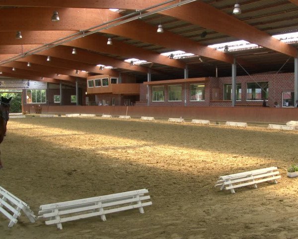 Reitturnier Seppenrade 2020