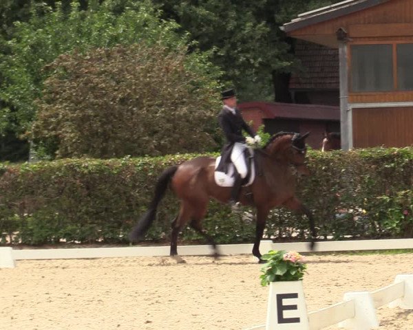 Reitturnier Greven 2020