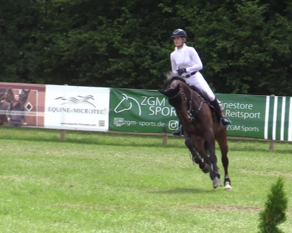 Reitturnier Greven 2020