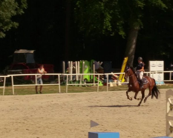 Reitturnier Prussendorf 2020