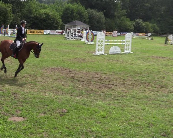 Reitturnier Greven 2020