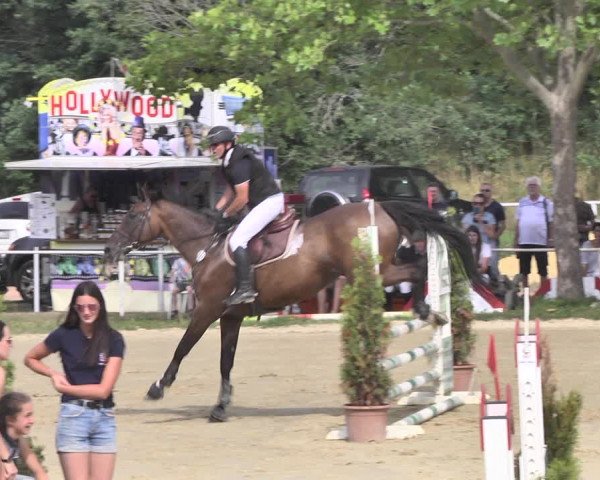 Reitturnier Heiligenwald 2020