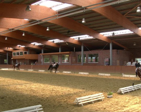 Reitturnier Seppenrade 2020