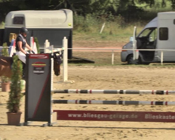 Reitturnier Heiligenwald 2020