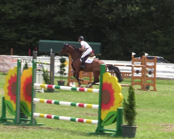 Reitturnier Greven 2020