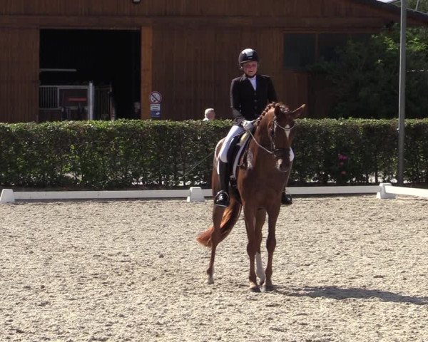 Reitturnier Greven 2020