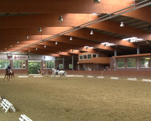 Reitturnier Seppenrade 2020