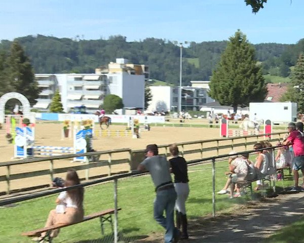 Reitturnier Dagmersellen 2020