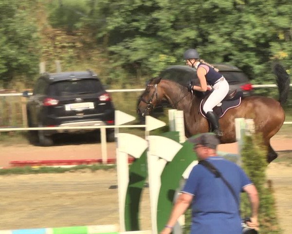 Reitturnier Heiligenwald 2020