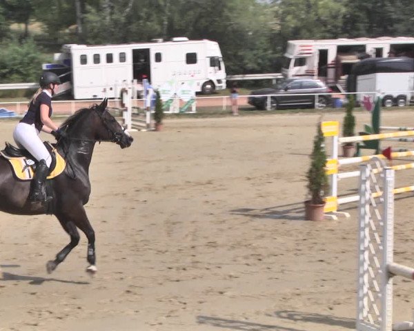 Reitturnier Heiligenwald 2020