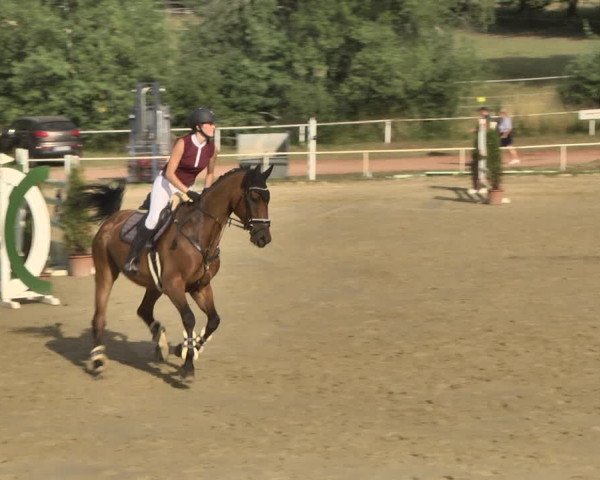 Reitturnier Heiligenwald 2020