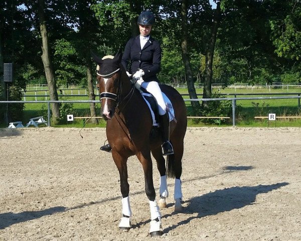broodmare Eiskalter Engel (Hanoverian, 2009, from Escudo I) broodmare Eiskalter Engel (Hanoverian, 2009, from Escudo I)