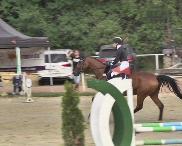 Reitturnier Heiligenwald 2020