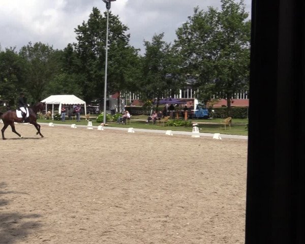 Reitturnier Greven 2020