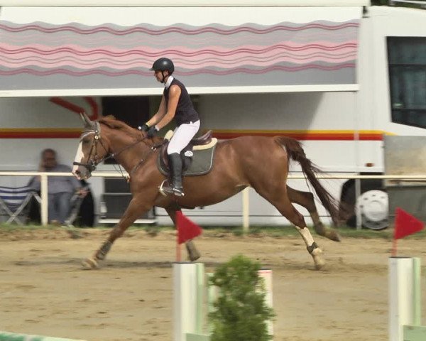 Reitturnier Heiligenwald 2020