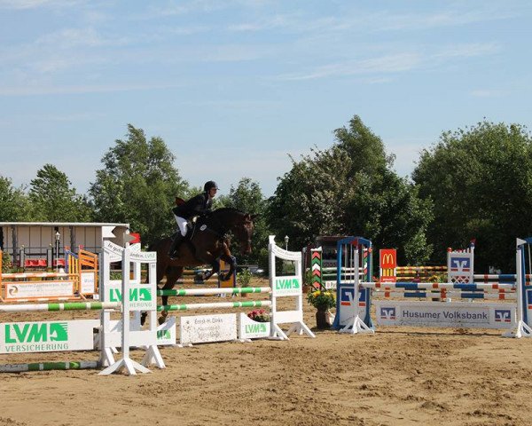 jumper Campino (Holsteiner, 2003, from Claudio's Son)