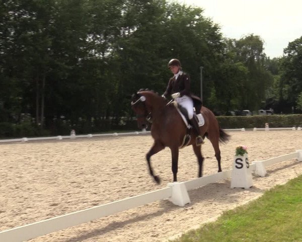 Reitturnier Greven 2020