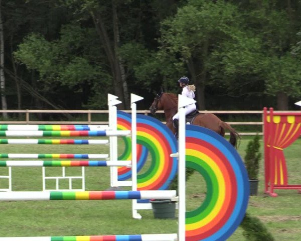 Reitturnier Greven 2020