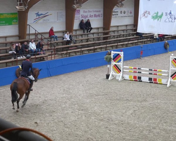 Reitturnier Sögel 2021