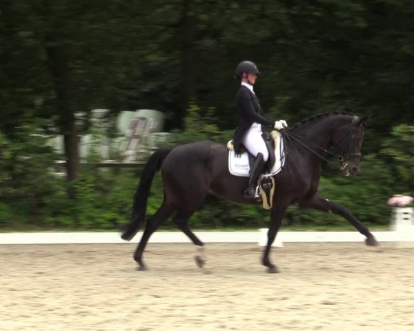 Reitturnier Greven 2020