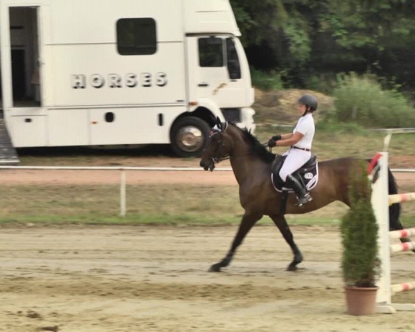 Reitturnier Heiligenwald 2020