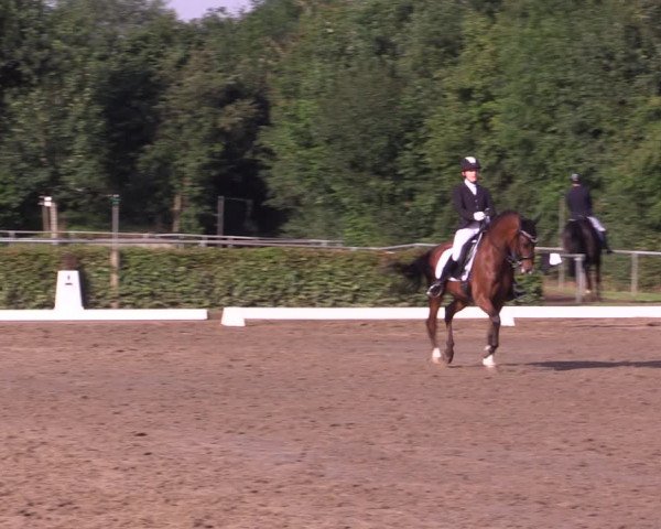 Reitturnier Seppenrade 2020