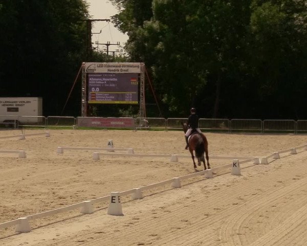 Reitturnier Prussendorf 2020