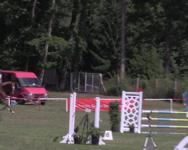 Reitturnier Boock 2020