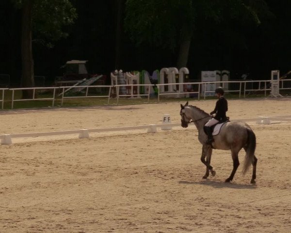 Reitturnier Prussendorf 2020