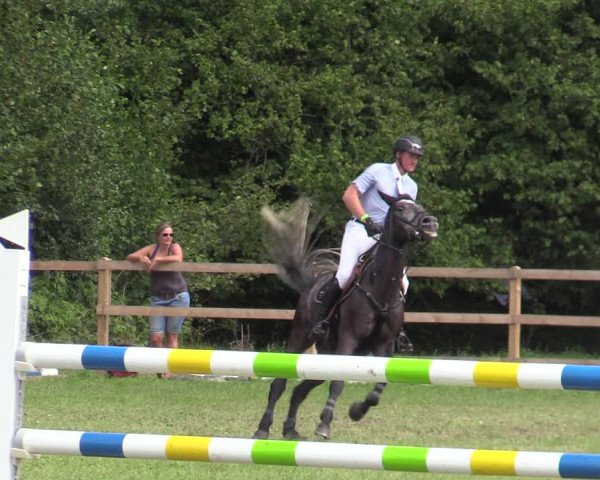 Reitturnier Greven 2020