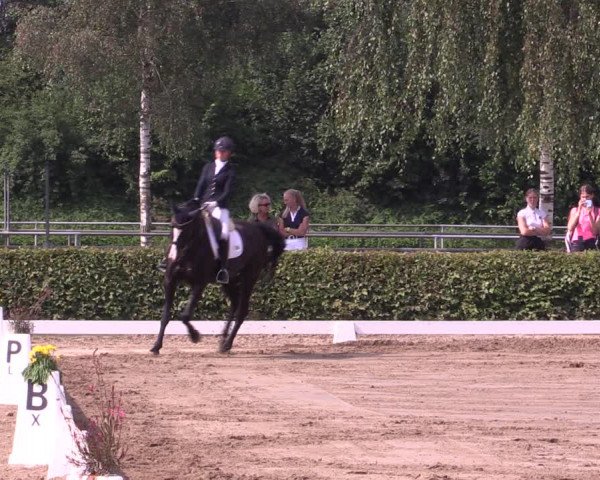 Reitturnier Seppenrade 2020