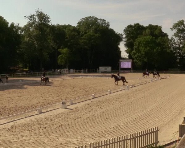 Reitturnier Prussendorf 2020