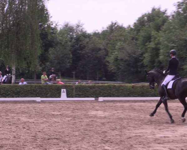 Reitturnier Seppenrade 2020