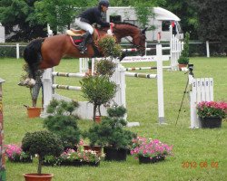 broodmare Etoile D' Araconit (German Sport Horse, 2006, from Araconit)