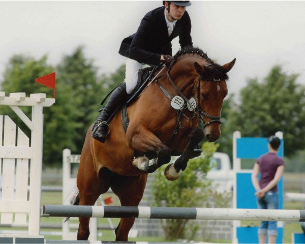 Springpferd Celina (Deutsches Sportpferd, 2010, von Cellestial)