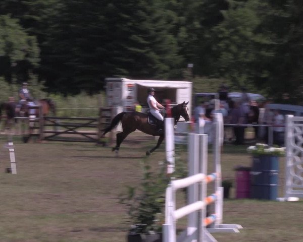 Reitturnier Boock 2020