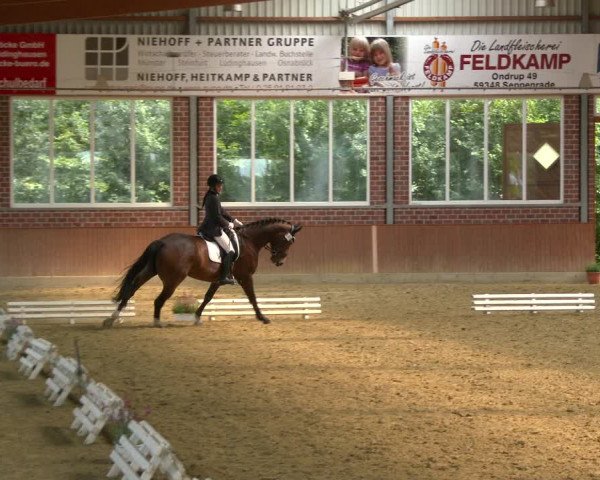 Reitturnier Seppenrade 2020