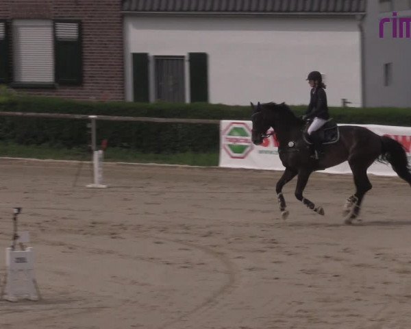 Reitturnier Goch 2020