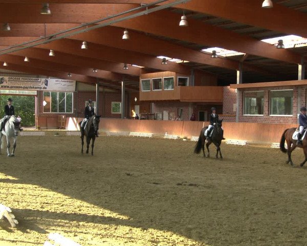 Reitturnier Seppenrade 2020