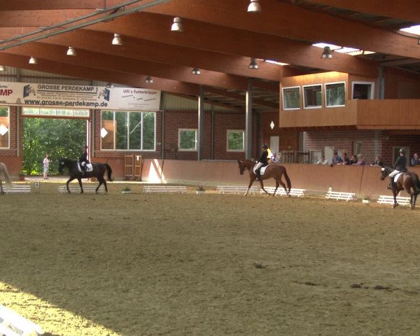 Reitturnier Seppenrade 2020