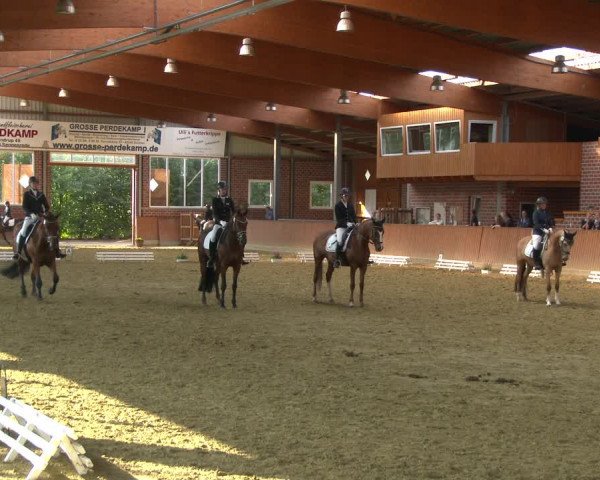 Reitturnier Seppenrade 2020