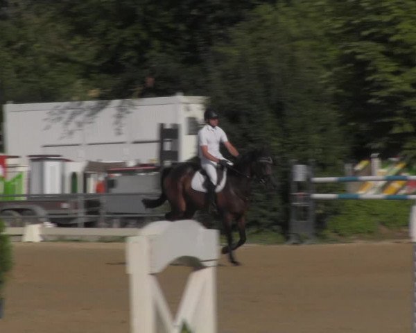 Reitturnier Pietzpuhl 2020