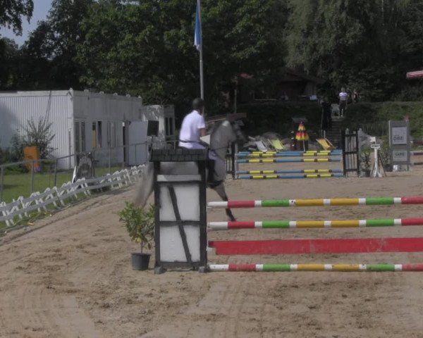 Reitturnier Pietzpuhl 2020