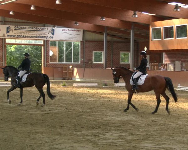 Reitturnier Seppenrade 2020