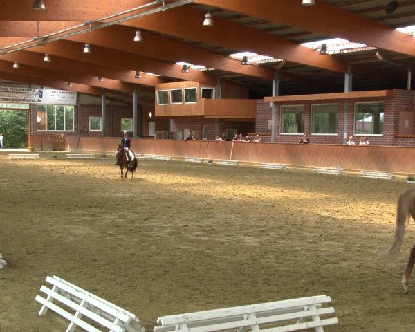 Reitturnier Seppenrade 2020
