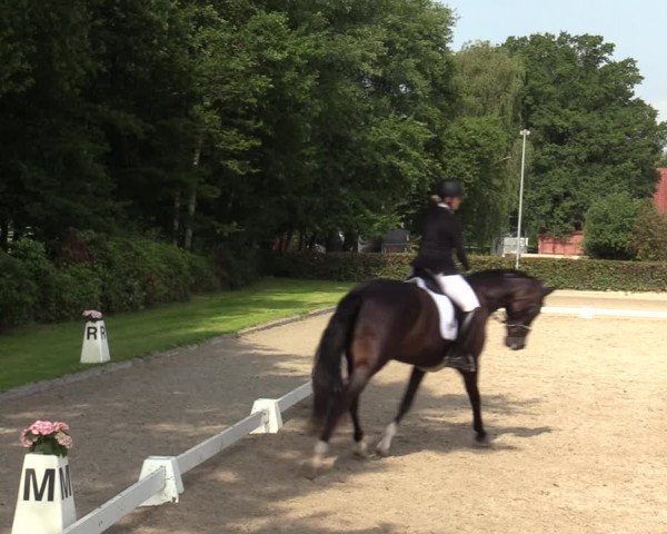 Reitturnier Greven 2020
