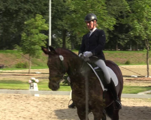 Reitturnier Greven 2020