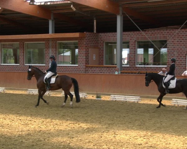 Reitturnier Seppenrade 2020