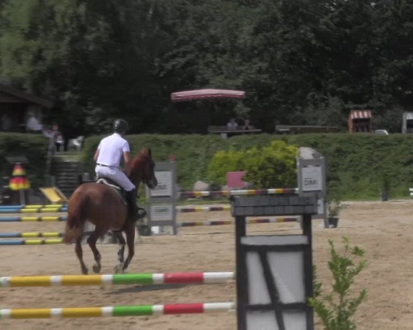 Reitturnier Pietzpuhl 2020