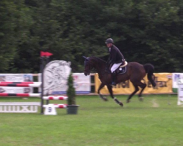 Reitturnier Greven 2020